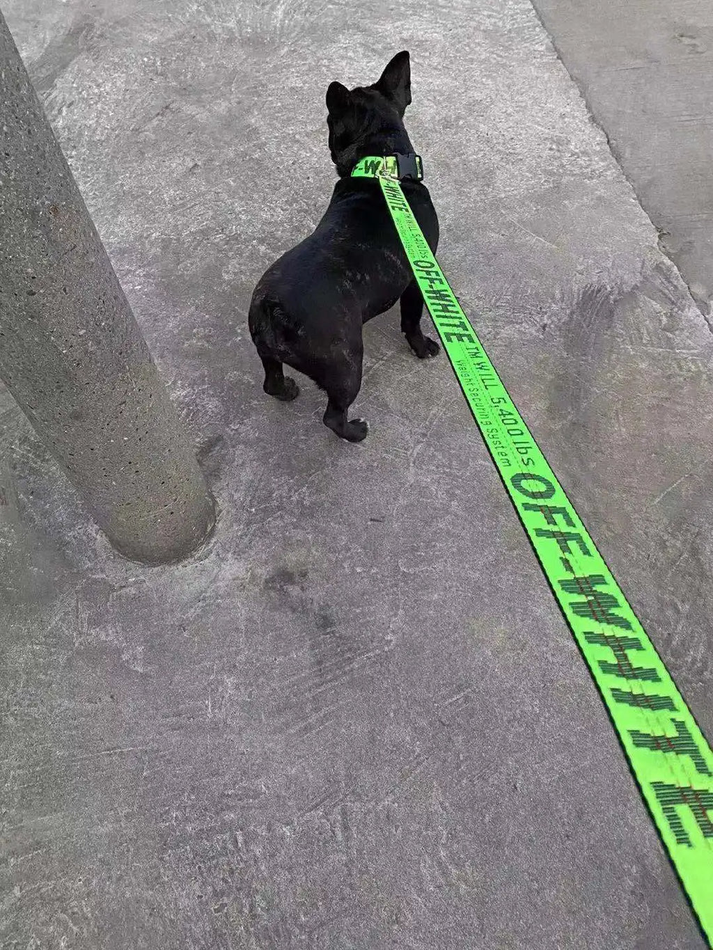 Nylon leash, used for pet dog rope, popular and fashionable pet leash, used for pet products of medium-sized dogs and large dogs