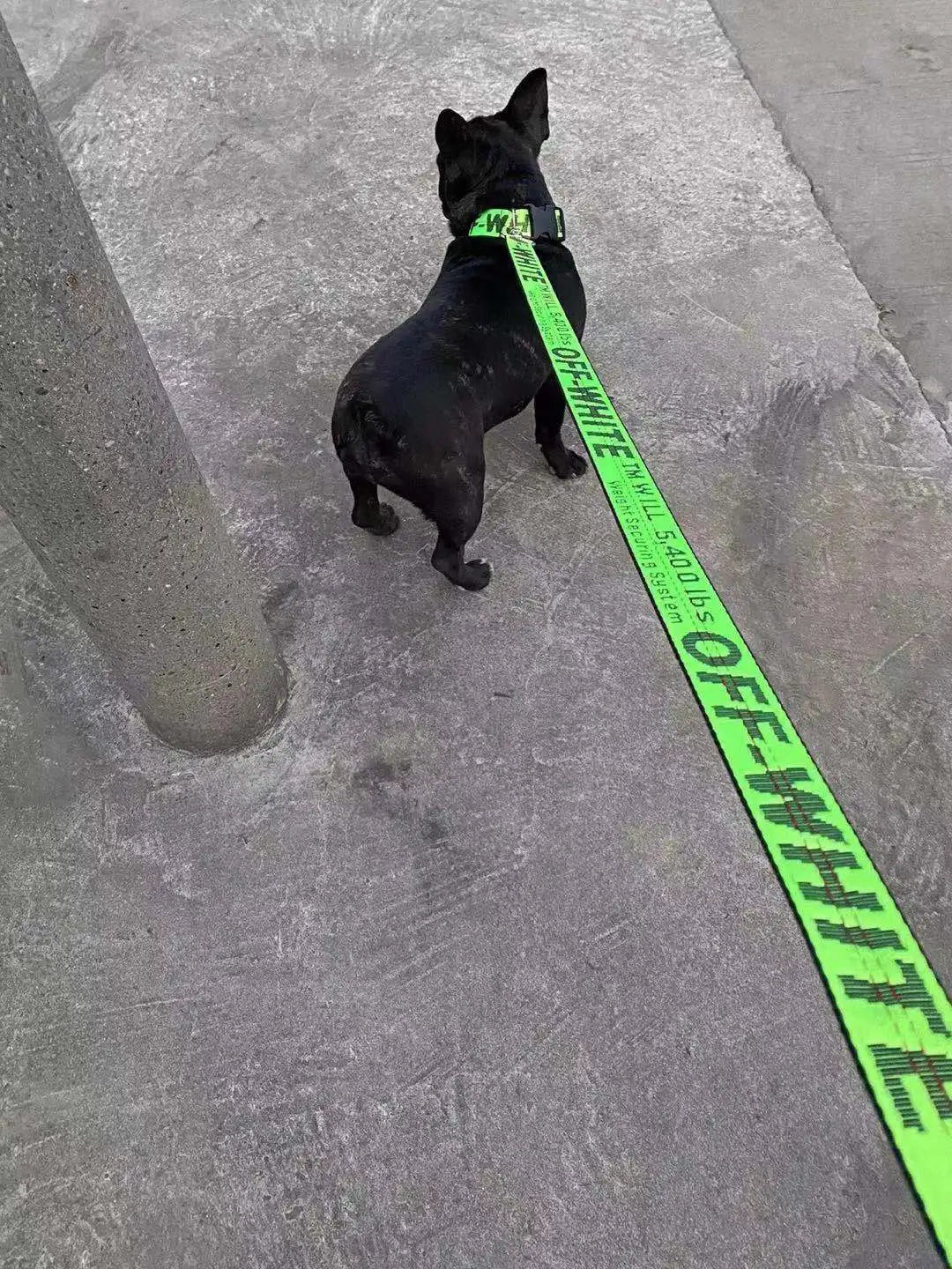 Nylon leash, used for pet dog rope, popular and fashionable pet leash, used for pet products of medium-sized dogs and large dogs