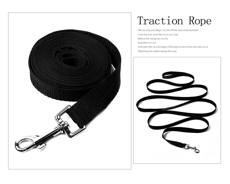10M 20M 30MPet Leash Nylon Dog Training Leashes Walking Long Lanyard Traction Rope for Small Large Dogs Lead Item