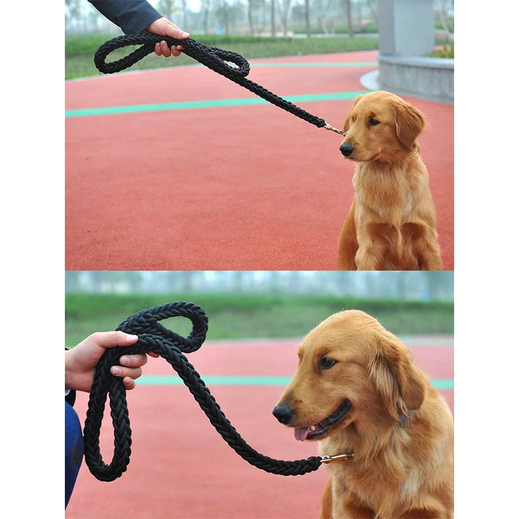 Dog leash for outdoor use. Durable and sturdy. Black design.