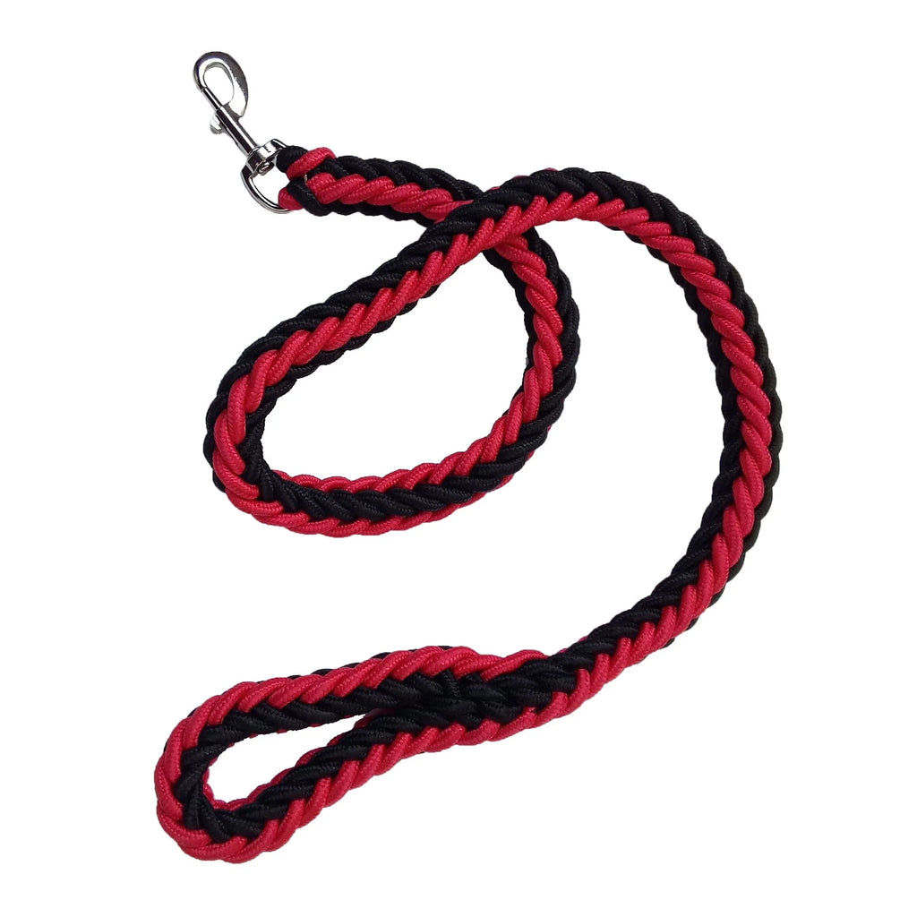 Dog Leash with P Chain Collar Traction Rope Dog Lead for Smal Large and Medium Dogs