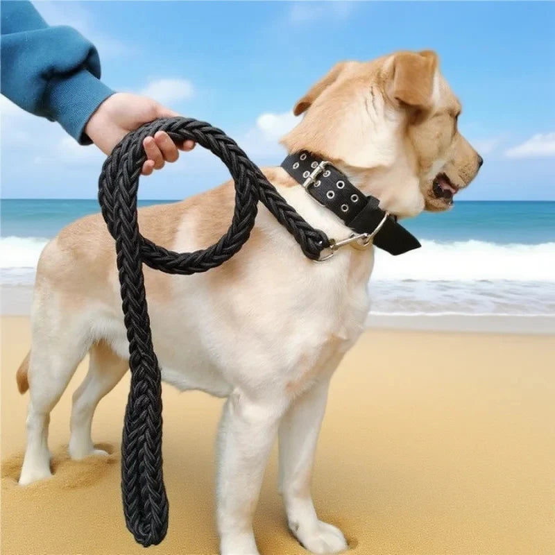 Dog leash for outdoor use. Durable and sturdy. Black design.