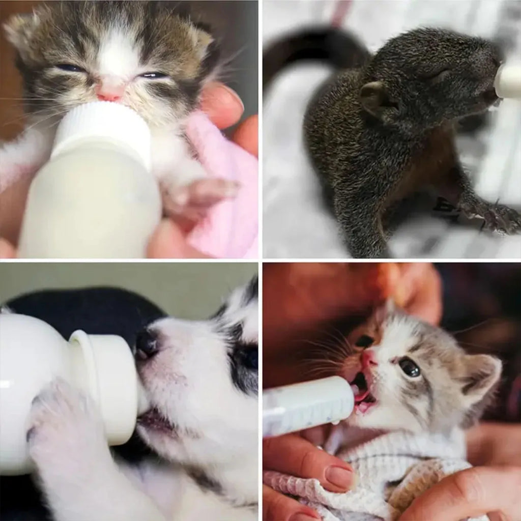 1 Set  pet feeding bottles, small pet feeders, dog and cat feeders, juvenile pet feeders, bottle and syringe type feeders
