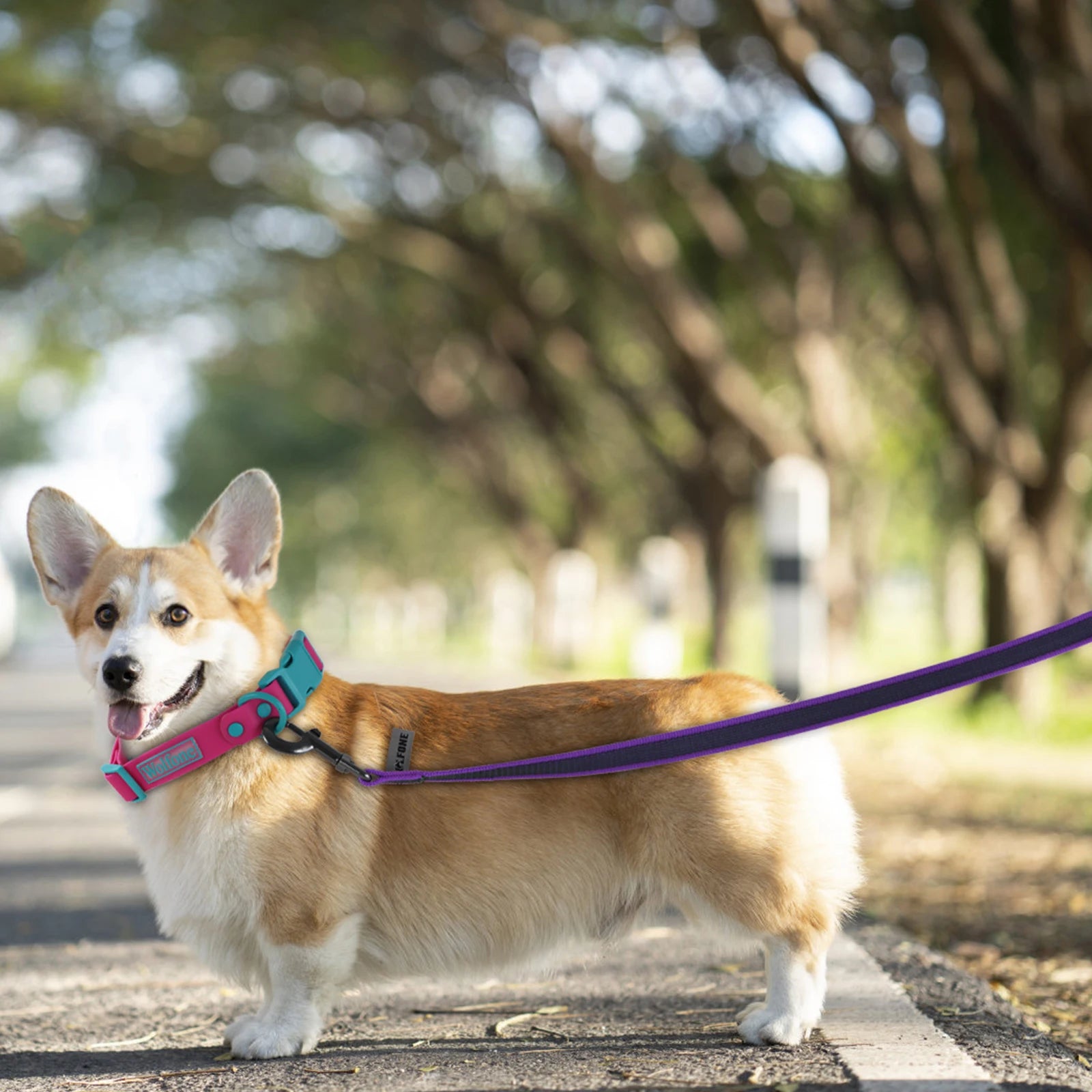 1.5M/2M/5M/3M/15M Medium small Long Dog Leash Latex Silk Easy and Convenient Training Big Dual color dog leash 10 meters