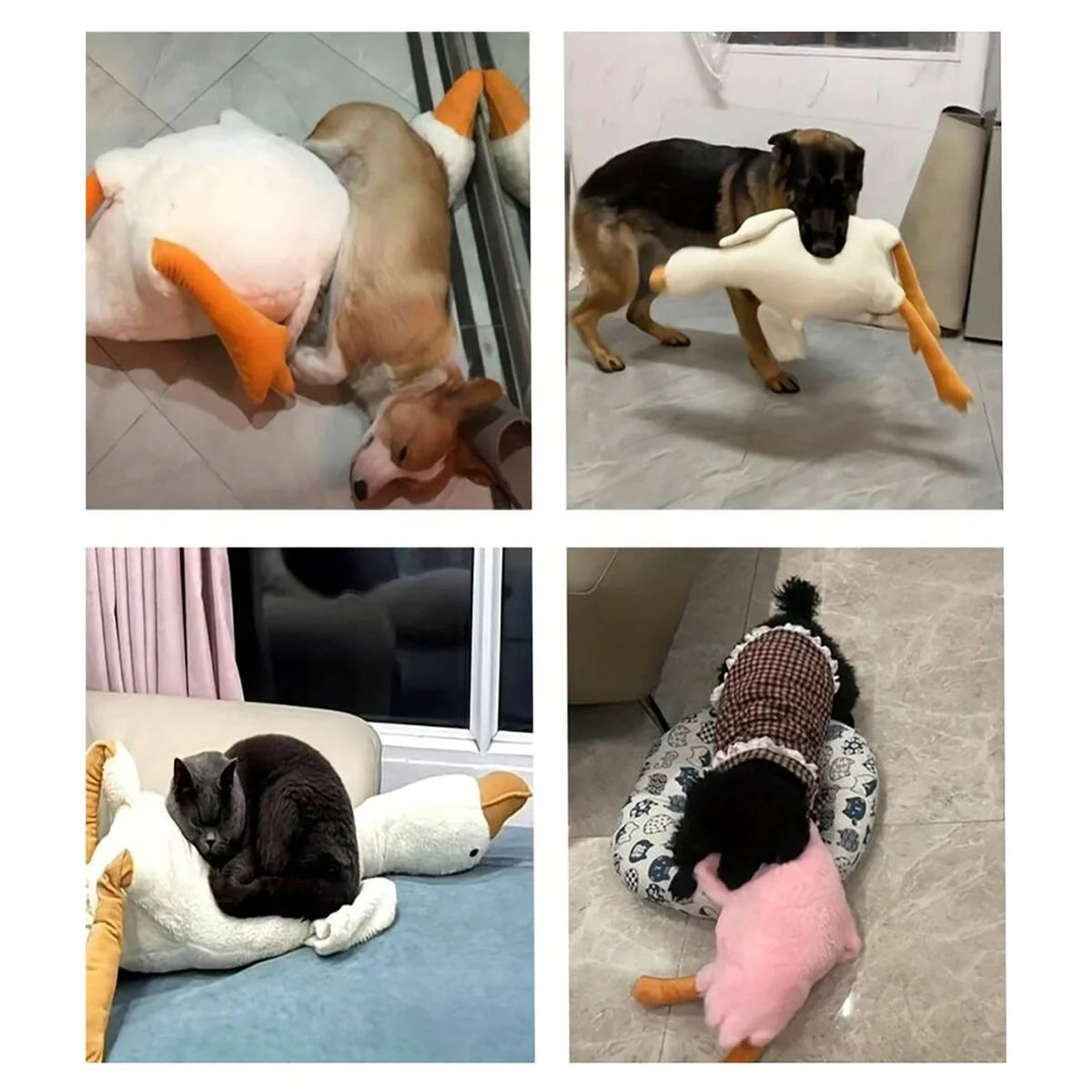 A Set of Soft Duck Plush Toys in White/Grey/Brown, Suitable for Cats and Dogs to Play With, Helping Them Play and Expend Energy, Suitable for Small to Medium-Sized Pets (Large Pets May Bite, so They Are Not Recommended for La
