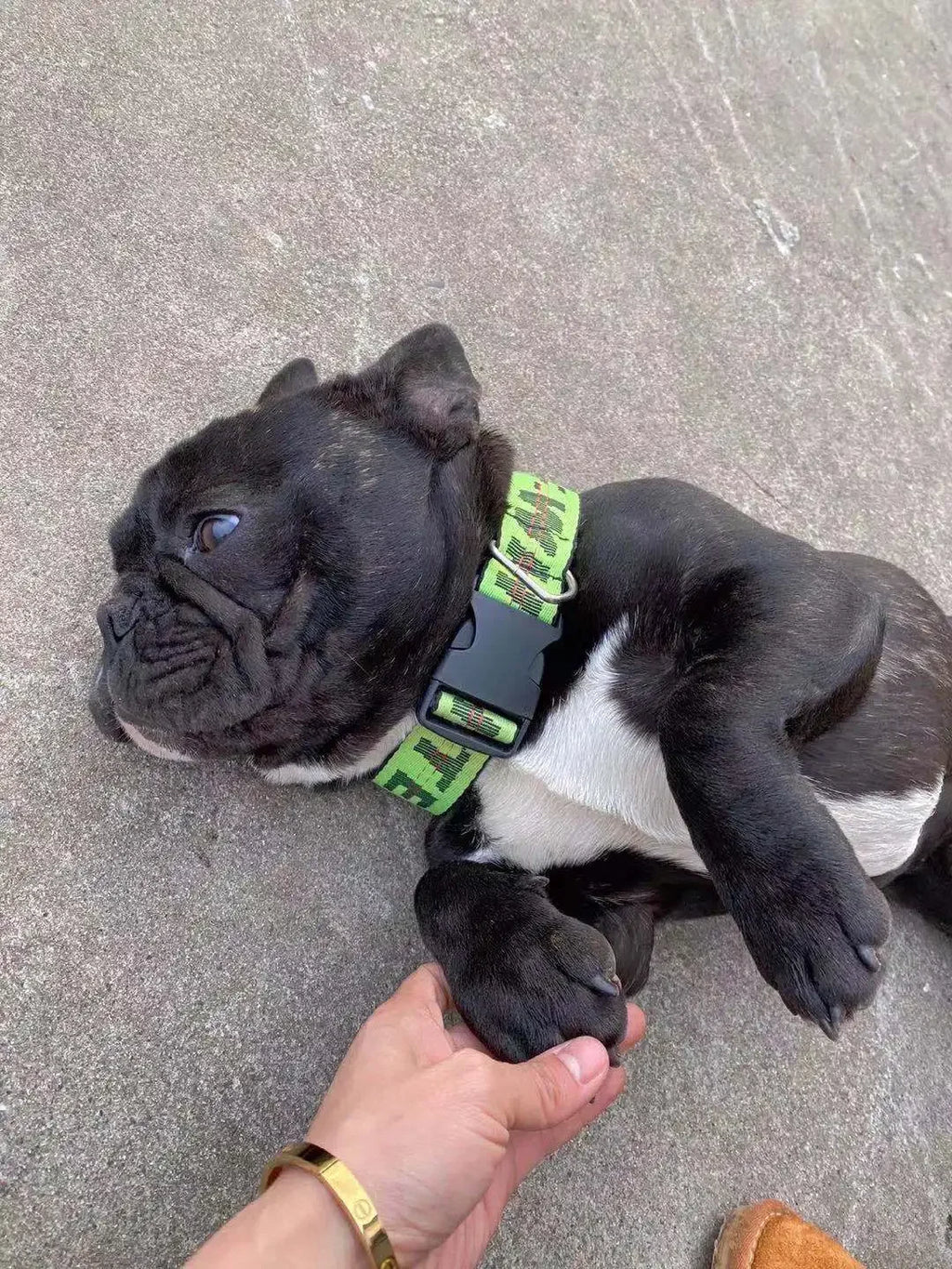 Nylon leash, used for pet dog rope, popular and fashionable pet leash, used for pet products of medium-sized dogs and large dogs