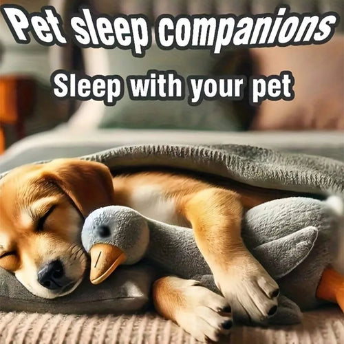 A Set of Soft Duck Plush Toys in White/Grey/Brown, Suitable for Cats and Dogs to Play With, Helping Them Play and Expend Energy, Suitable for Small to Medium-Sized Pets (Large Pets May Bite, so They Are Not Recommended for La